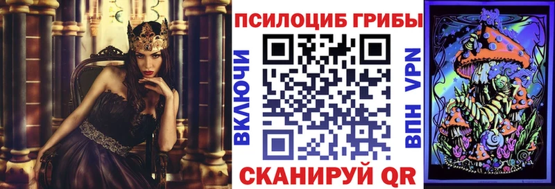 наркота  нарко площадка как зайти  Галлюциногенные грибы мухоморы  Черняховск 