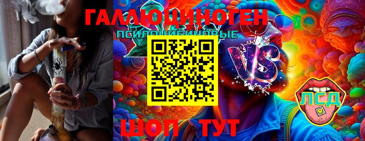 Галлюциногенные грибы Cubensis Черняховск