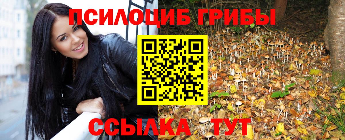 Галлюциногенные грибы Psilocybine cubensis Черняховск