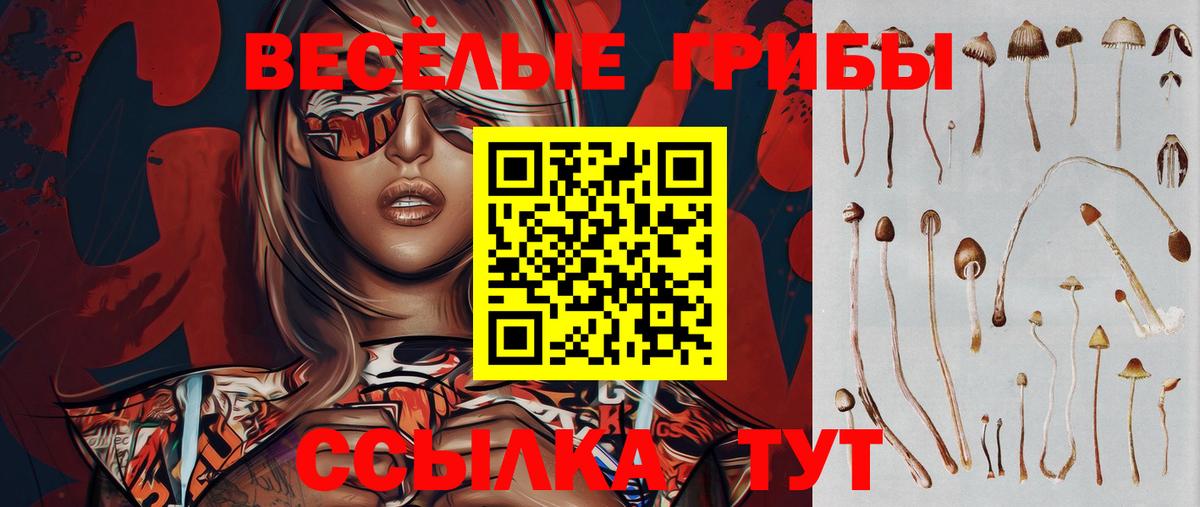 Черняховск  Псилоцибиновые грибы MAGIC MUSHROOMS  цена   Вход с VPN  Псилоцибиновые грибы Cubensis 